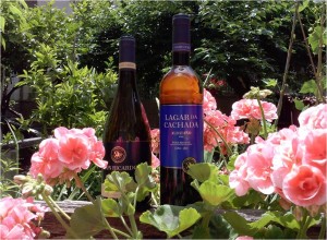 VinosLagarDaCachada